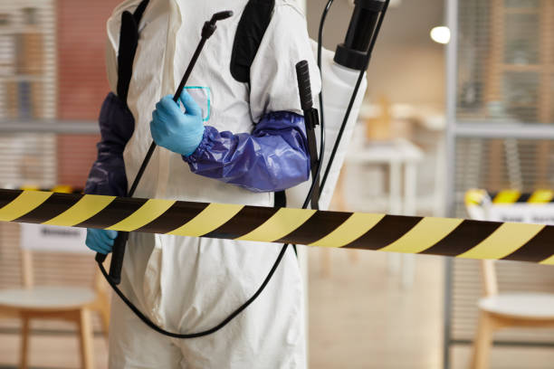 Professional Sewage Cleanup technician working in Rosendale, WI